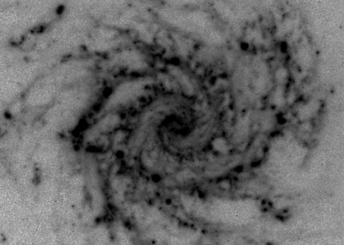 Aryanna M. | Messier 74